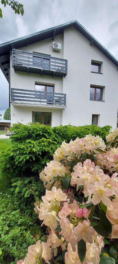Apartamenty Montania Wisła Exterior foto